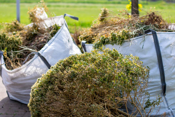 Best Estate Cleanout Services  in Norwood, NJ